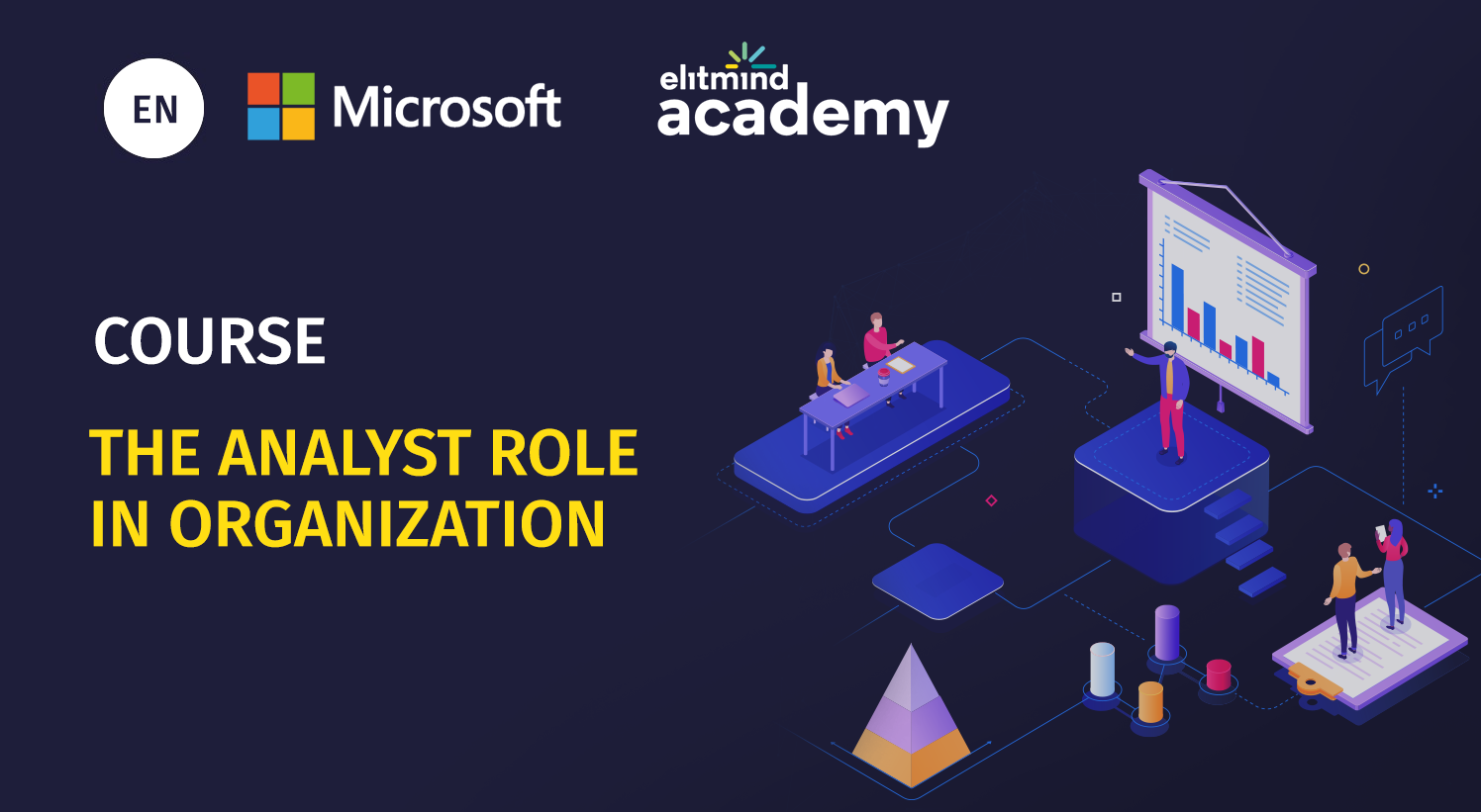 [EN] The analyst role in organization